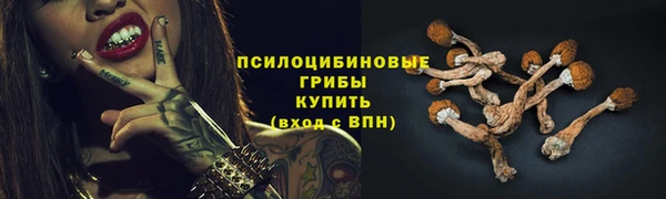 амф Инта