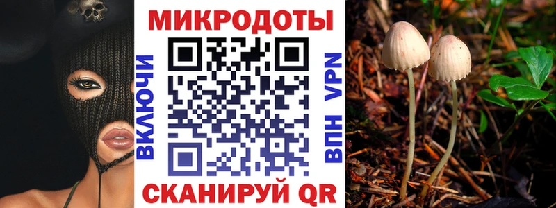 Купить где  Покров  Псилоцибиновые грибы мухоморы 
